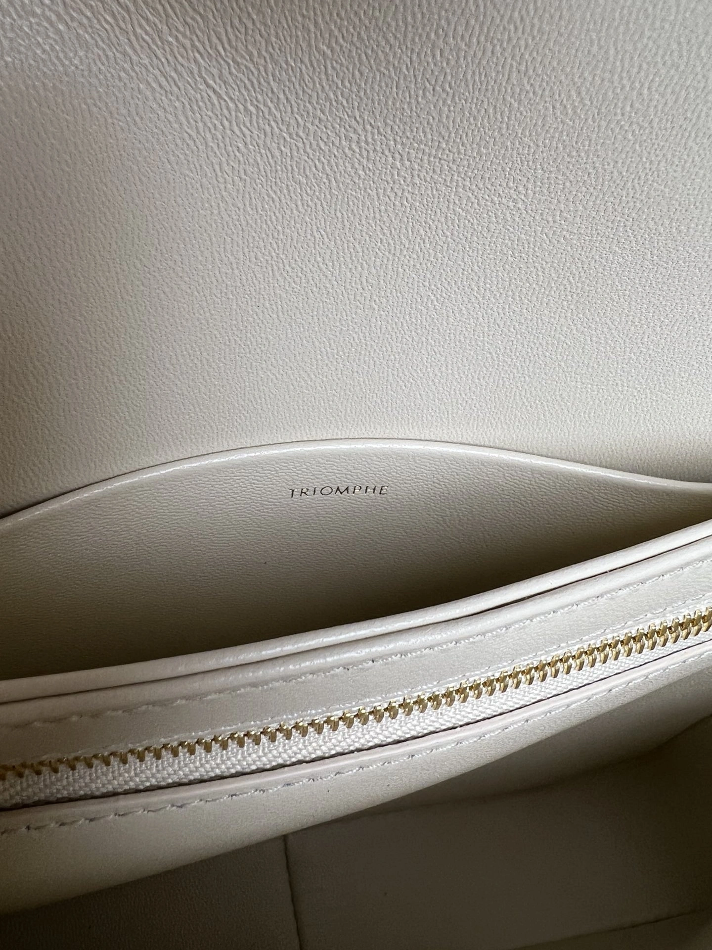 Celine Triomphe Bags Packable 78373