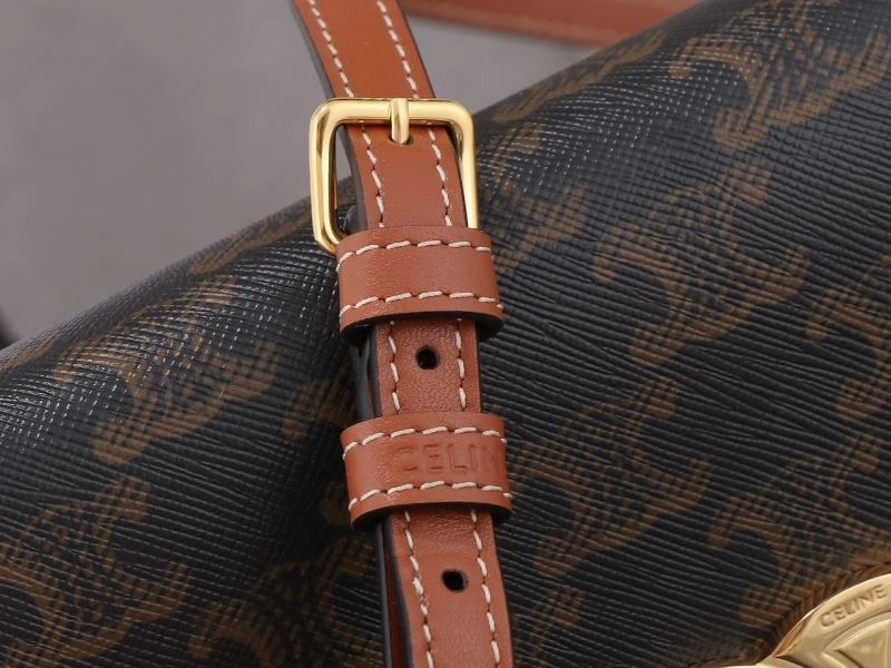 Youthful Celine Triomphe Bags 94740