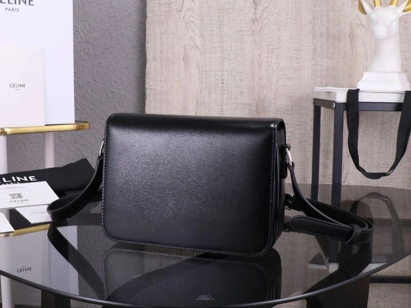 Celine Triomphe Bags MoistureWicking 94739