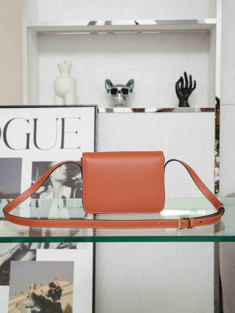 Tailored Celine Triomphe Bags 94738
