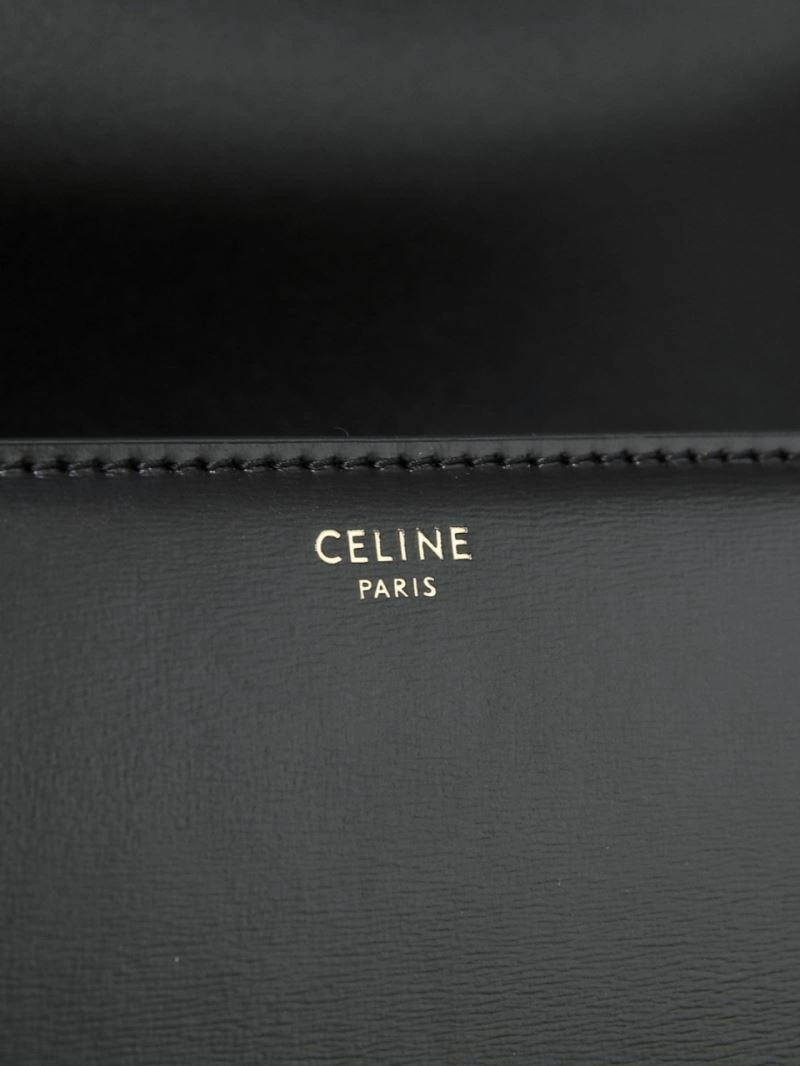 Celine Triomphe Bags Unique 94733