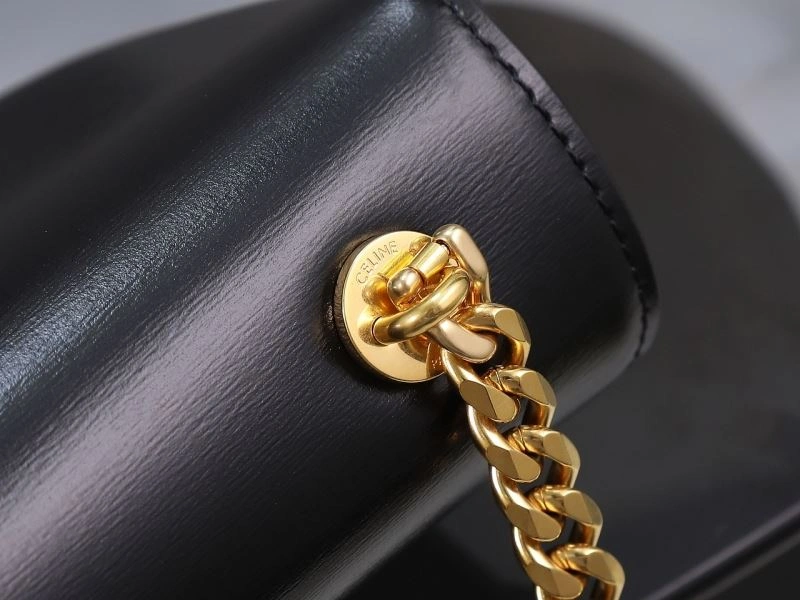 Celine Triomphe Bags Stretchable 94723