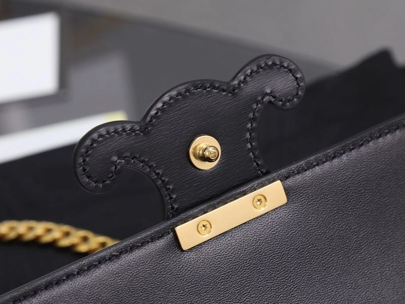 Celine Triomphe Bags Stretchable 94723