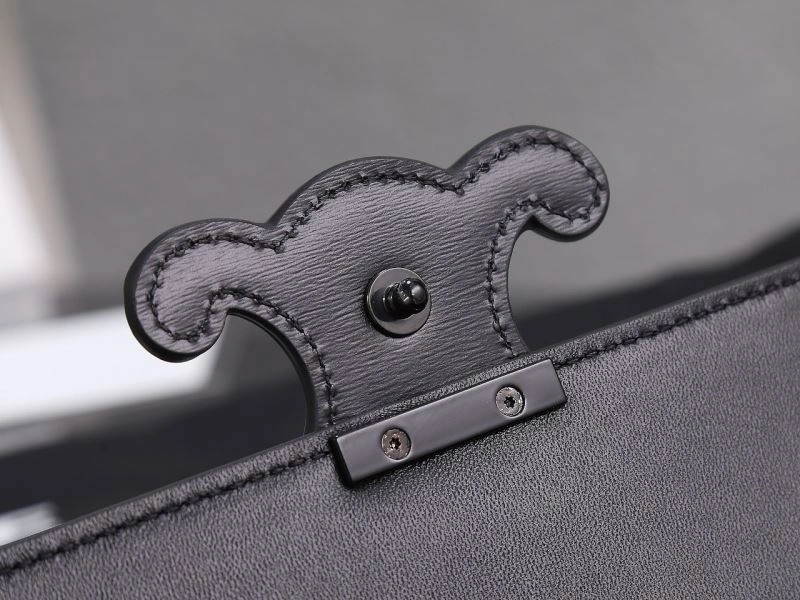 Celine Triomphe Bags Neat 94721