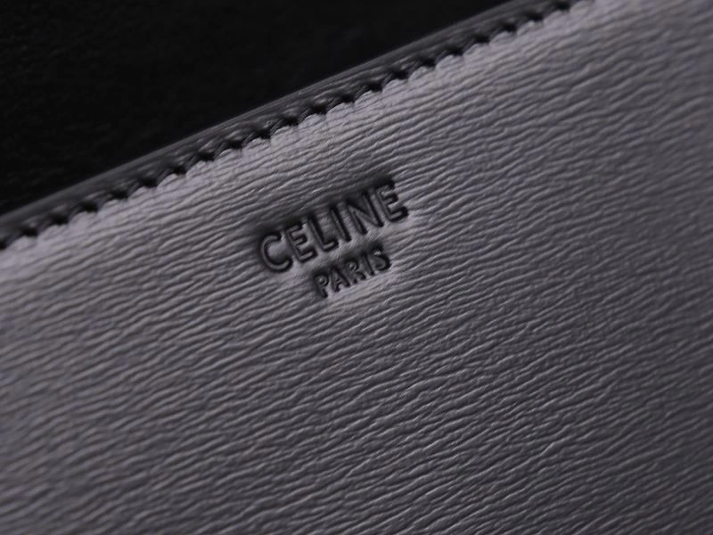 Celine Triomphe Bags Neat 94721