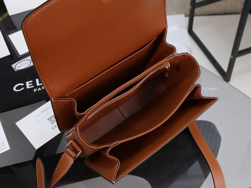 Fashionable Celine Triomphe Bags 94718