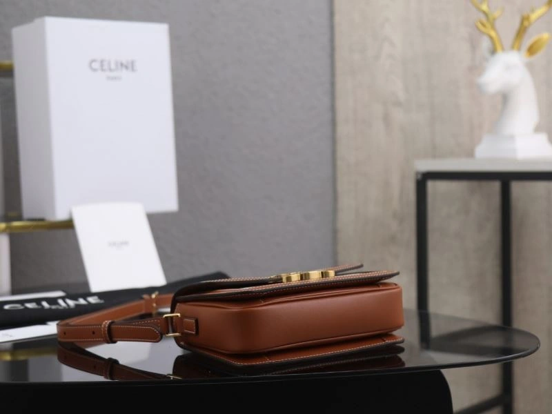 Colorful Celine Triomphe Bags 94705
