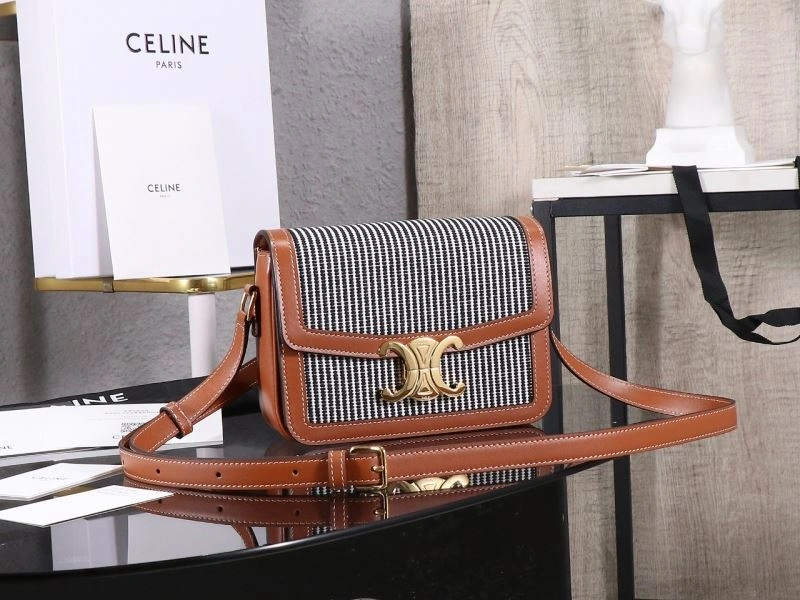 Celine Triomphe Bags Functional 94693
