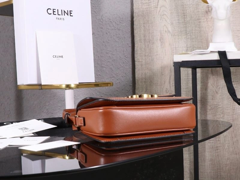 Celine Triomphe Bags Functional 94693