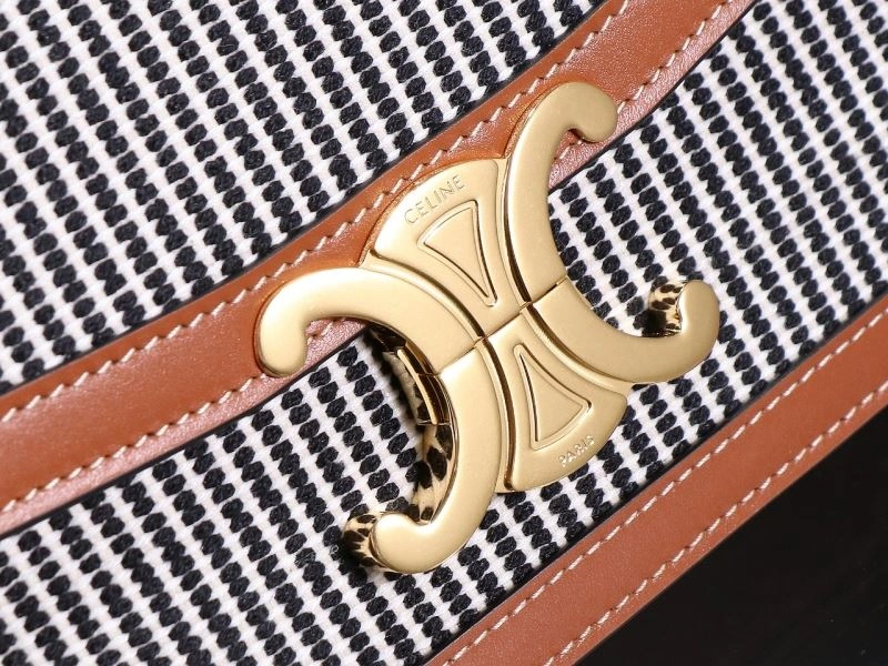 Celine Triomphe Bags Functional 94693