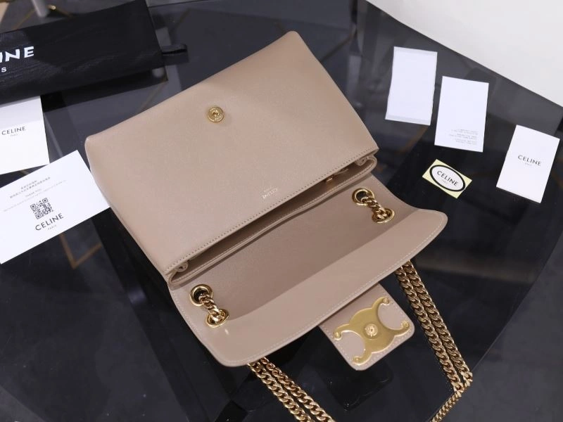 Celine Triomphe Bags TechFriendly 94691