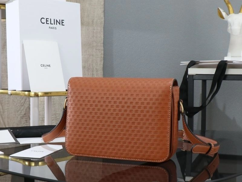 Efficient Celine Triomphe Bags 94690