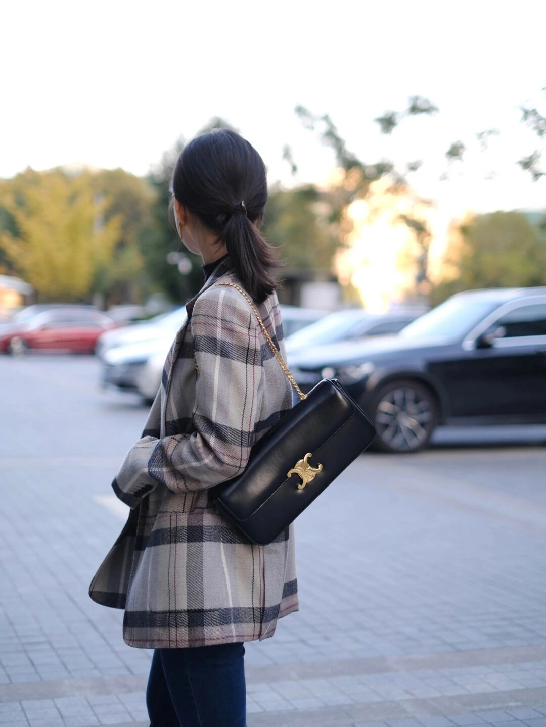 Celine Triomphe Bags Thermal 94581
