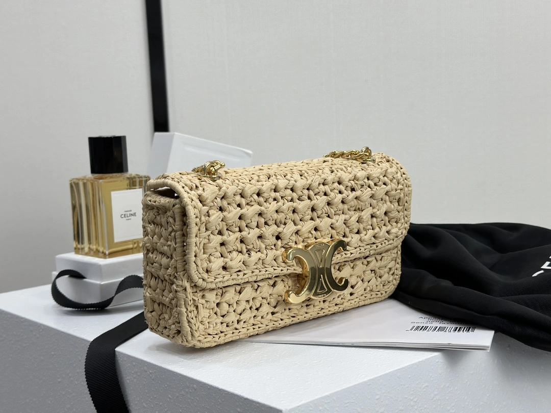 GoAnywhere Celine Triomphe Bags 94513