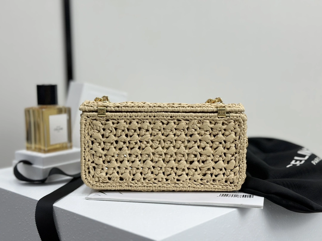 GoAnywhere Celine Triomphe Bags 94513