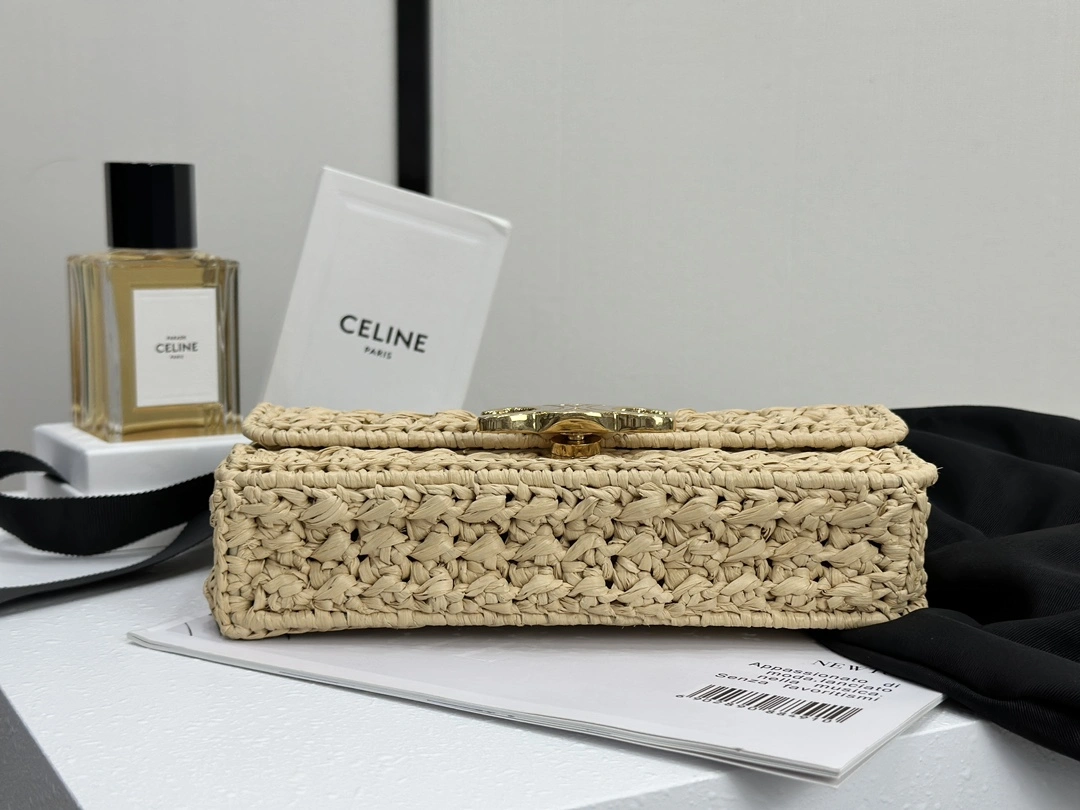 GoAnywhere Celine Triomphe Bags 94513