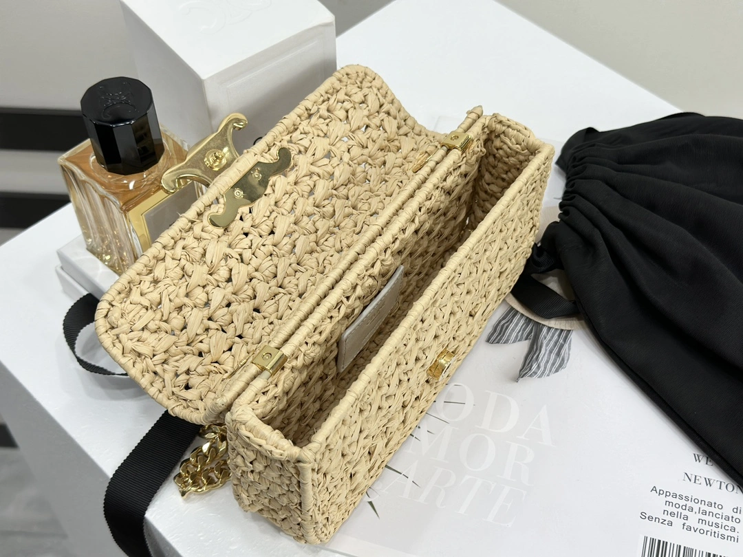 GoAnywhere Celine Triomphe Bags 94513
