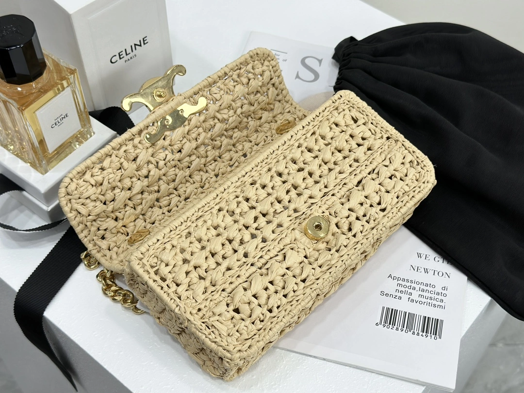 GoAnywhere Celine Triomphe Bags 94513