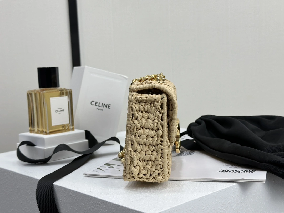 GoAnywhere Celine Triomphe Bags 94513