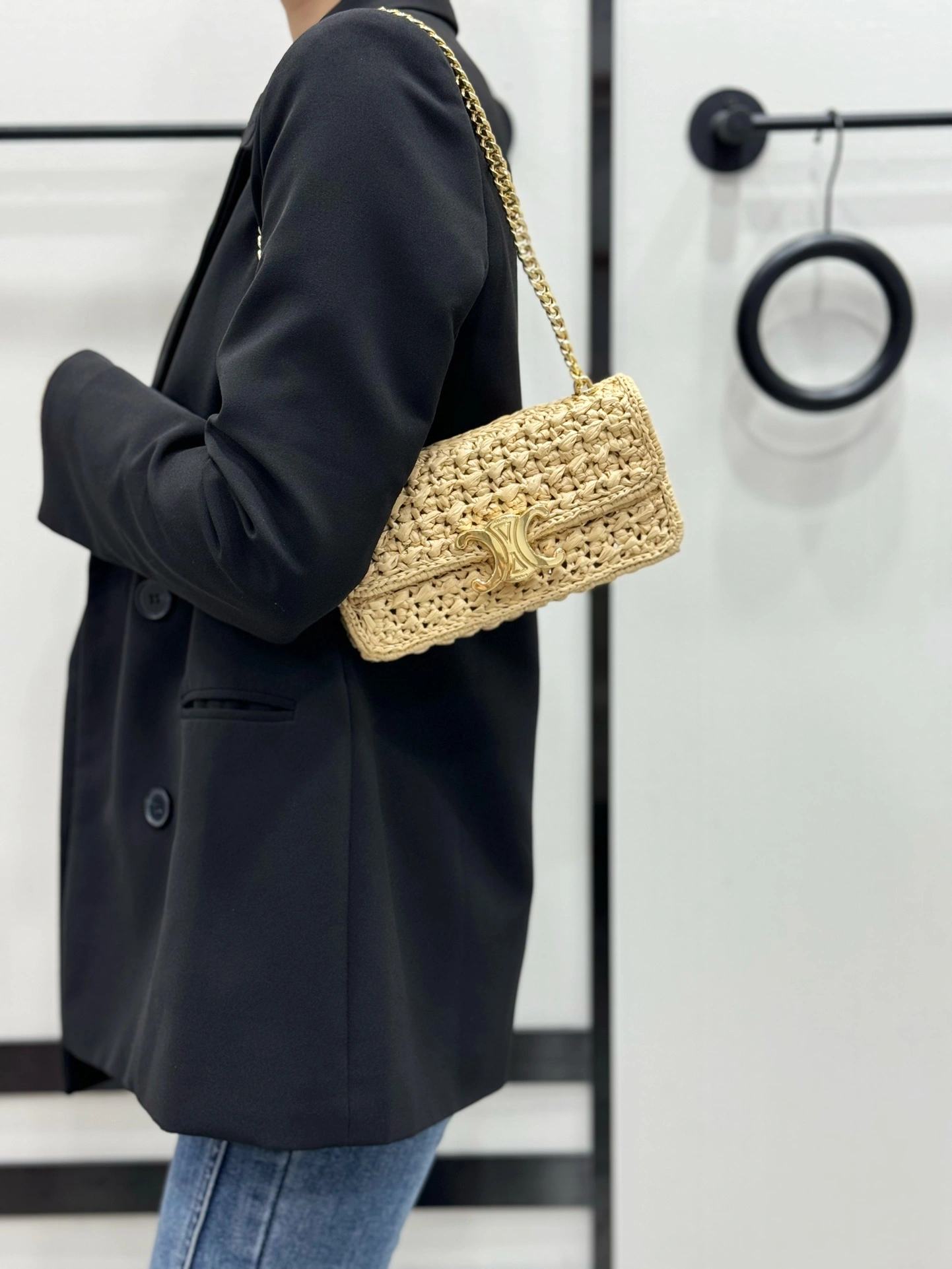 GoAnywhere Celine Triomphe Bags 94513