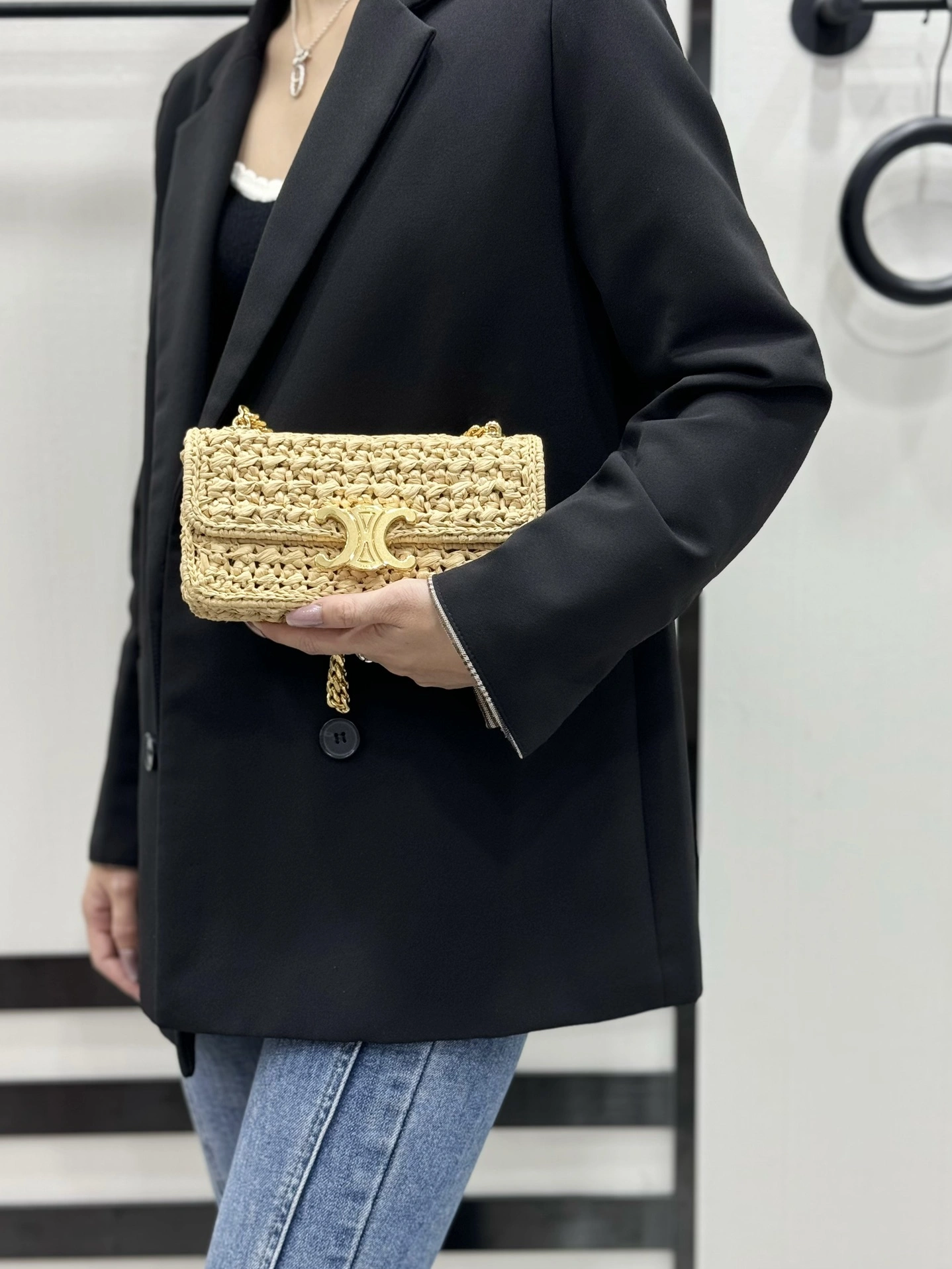 GoAnywhere Celine Triomphe Bags 94513