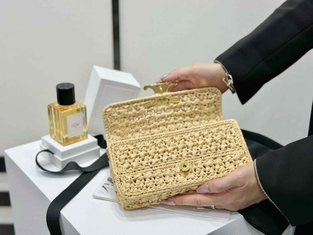 GoAnywhere Celine Triomphe Bags 94513