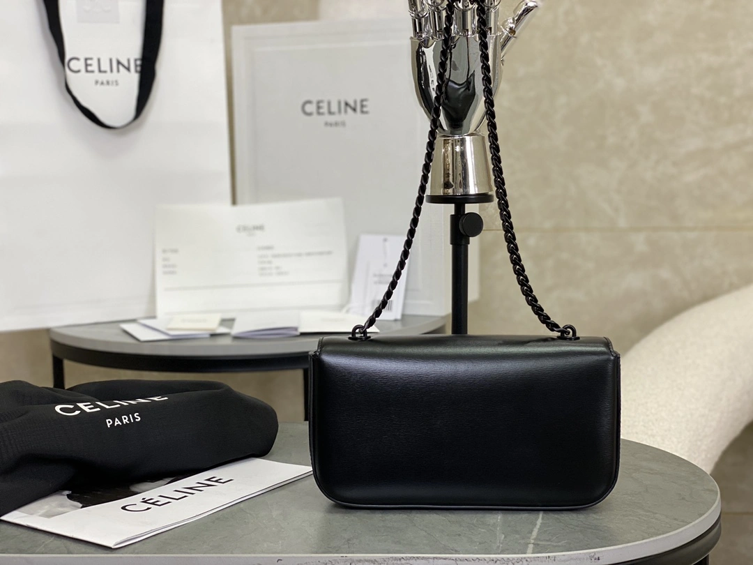 Celine Triomphe Bags Modern 94508
