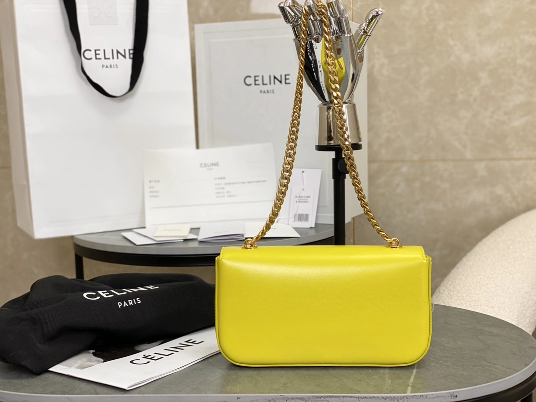 Celine Triomphe Bags ZipUp 94507