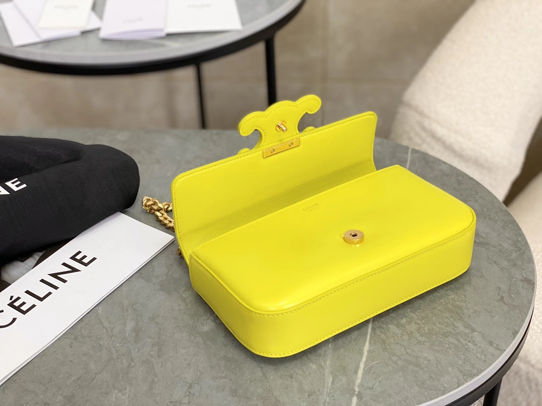 Celine Triomphe Bags ZipUp 94507