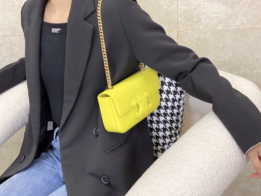 Celine Triomphe Bags ZipUp 94507