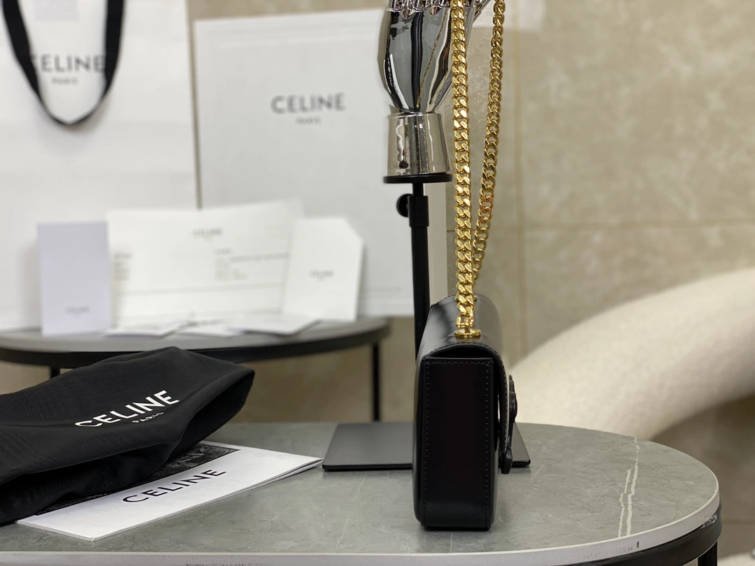 Effortless Celine Triomphe Bags 94510