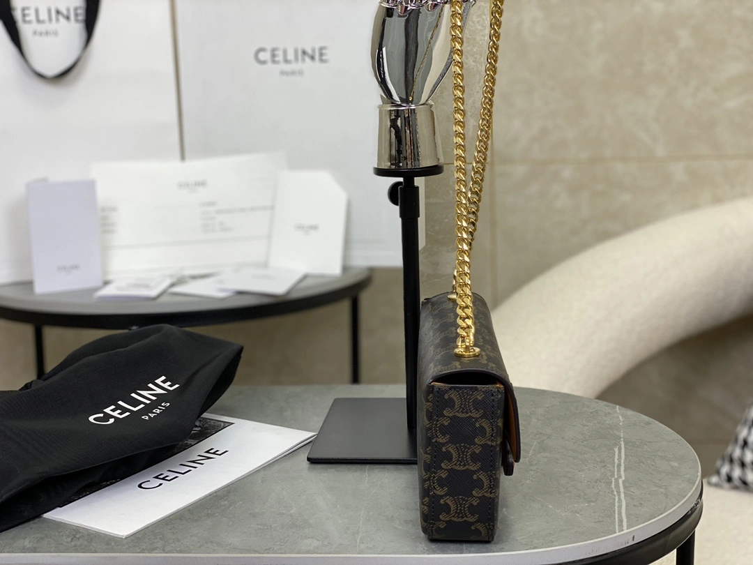 Celine Triomphe Bags FreshLook 94580
