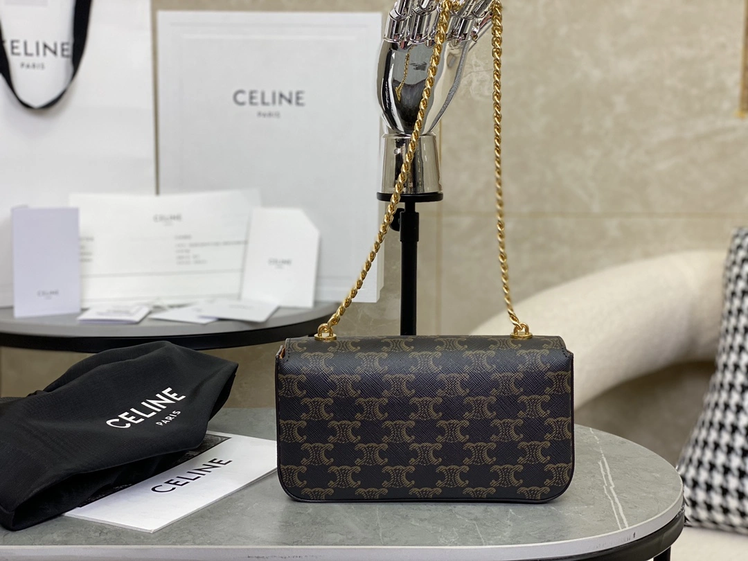 Celine Triomphe Bags FreshLook 94580