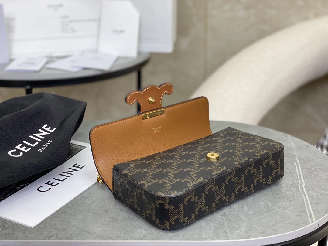 Celine Triomphe Bags FreshLook 94580