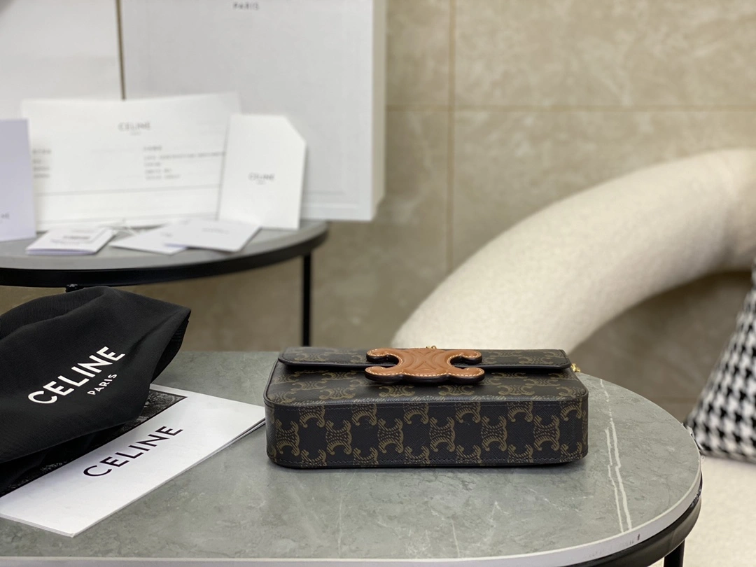 Celine Triomphe Bags FreshLook 94580