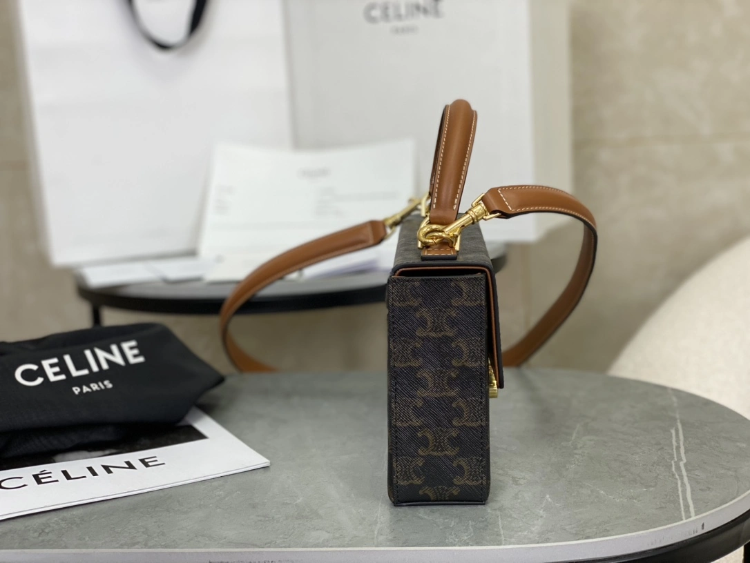Celine Triomphe Bags Unisex 94506