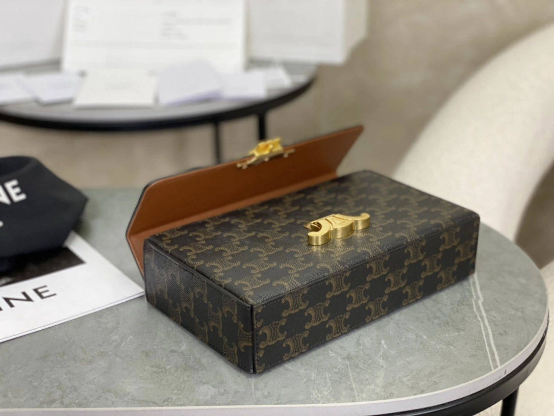 Celine Triomphe Bags Unisex 94506