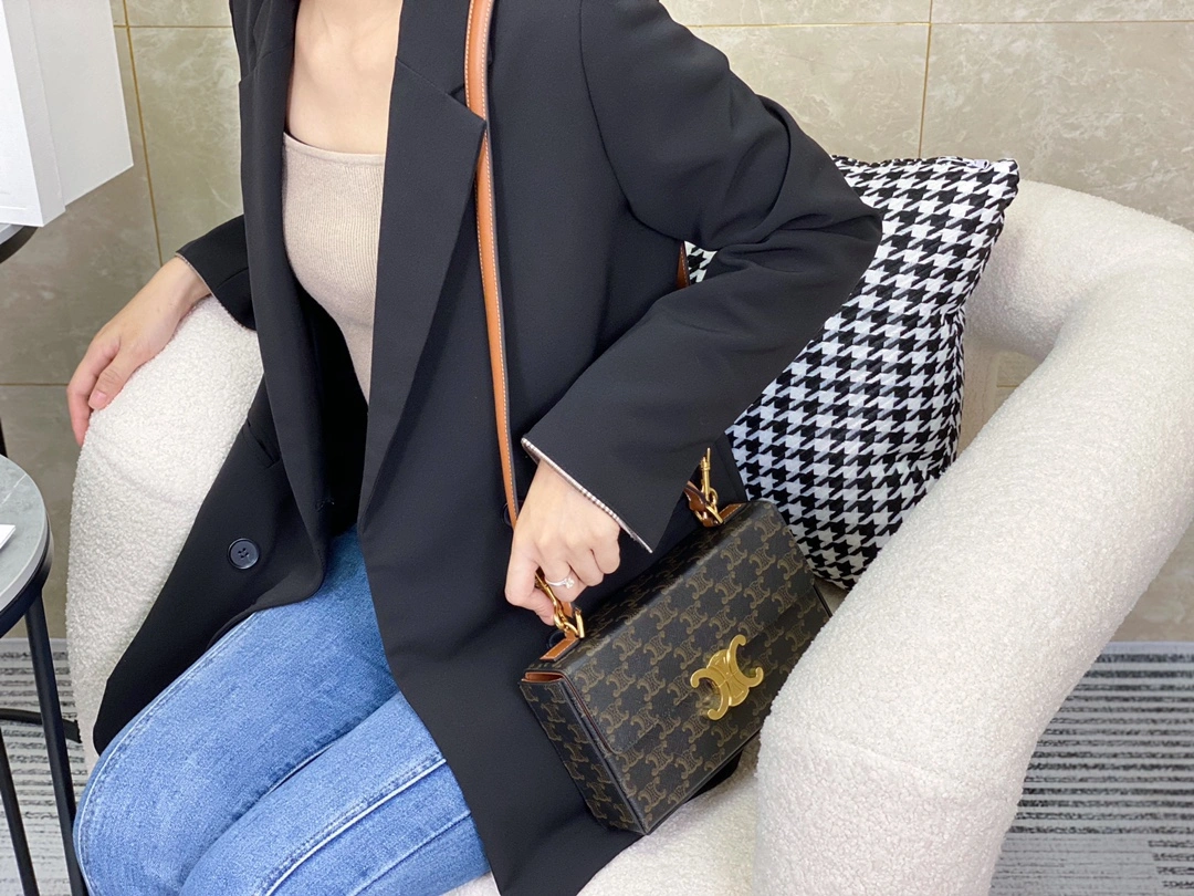 Celine Triomphe Bags Unisex 94506
