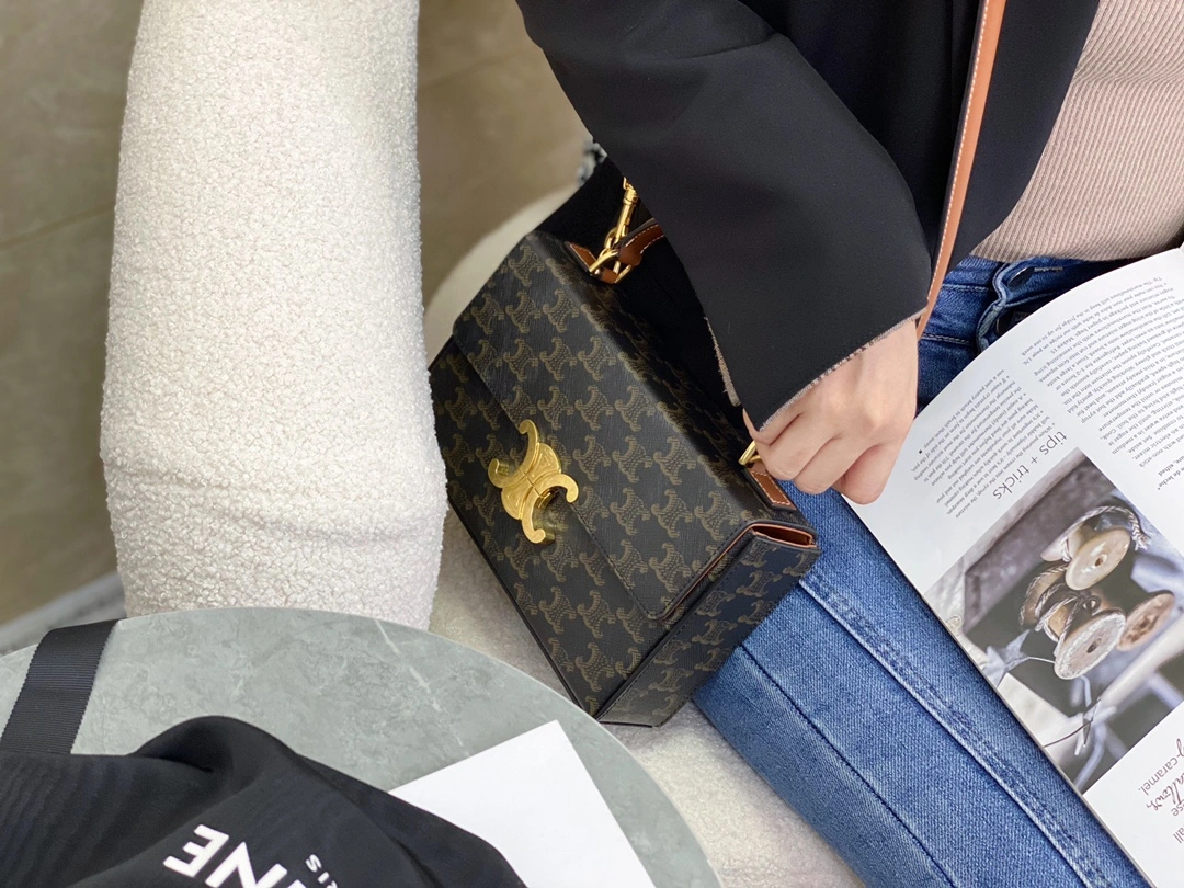 Celine Triomphe Bags Unisex 94506
