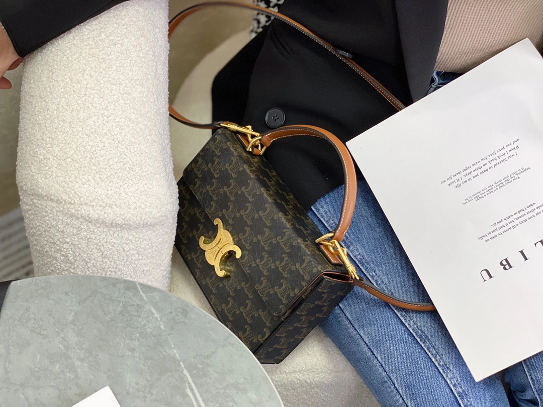 Celine Triomphe Bags Unisex 94506