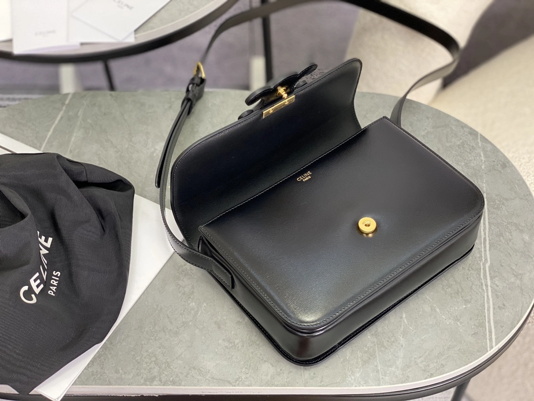 Celine Triomphe Bags Affordable 94503