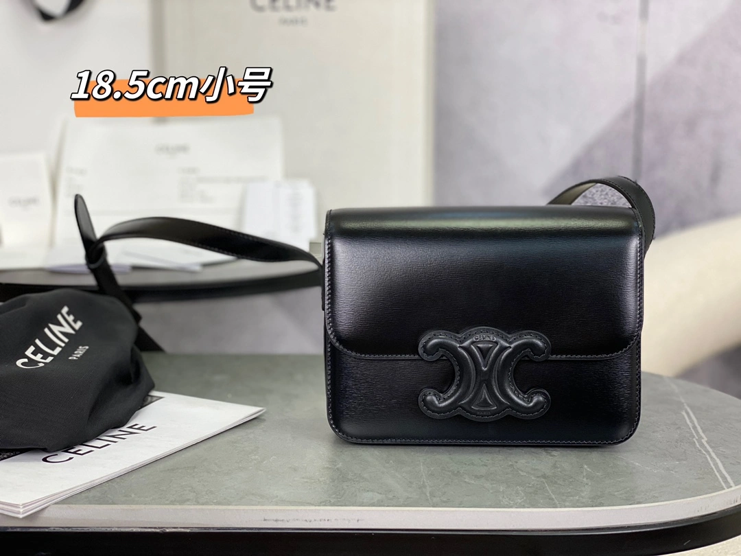 Fashionable Celine Triomphe Bags 94500