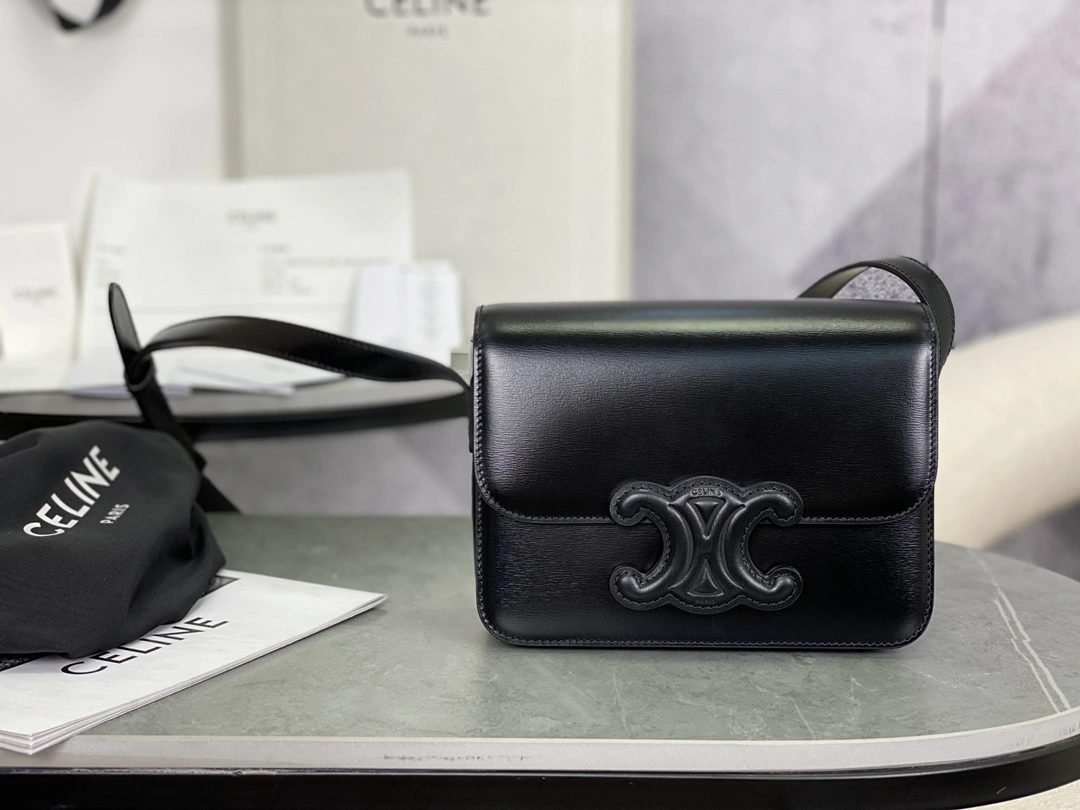Fashionable Celine Triomphe Bags 94500