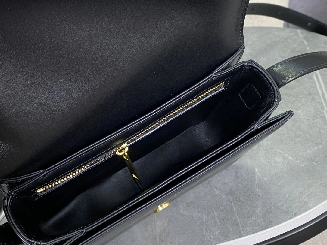 Fashionable Celine Triomphe Bags 94500
