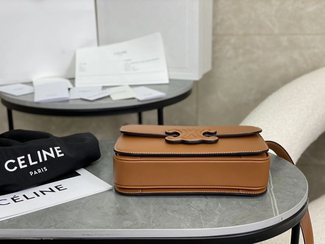 Celine Triomphe Bags Soft 94505