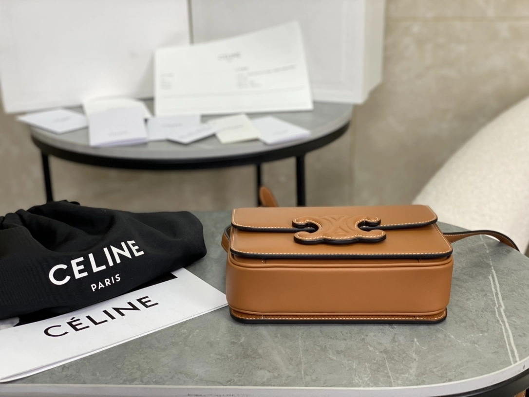 EyeCatching Celine Triomphe Bags 94509