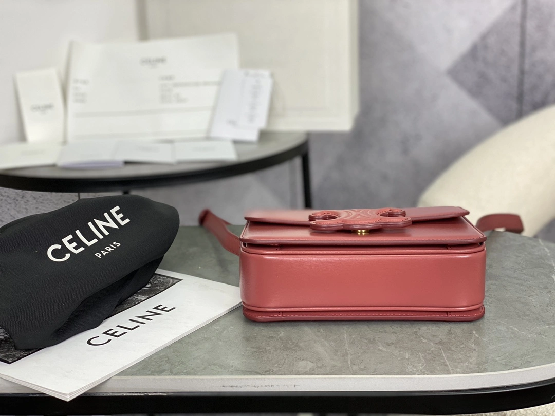 Celine Triomphe Bags TopPick 94541