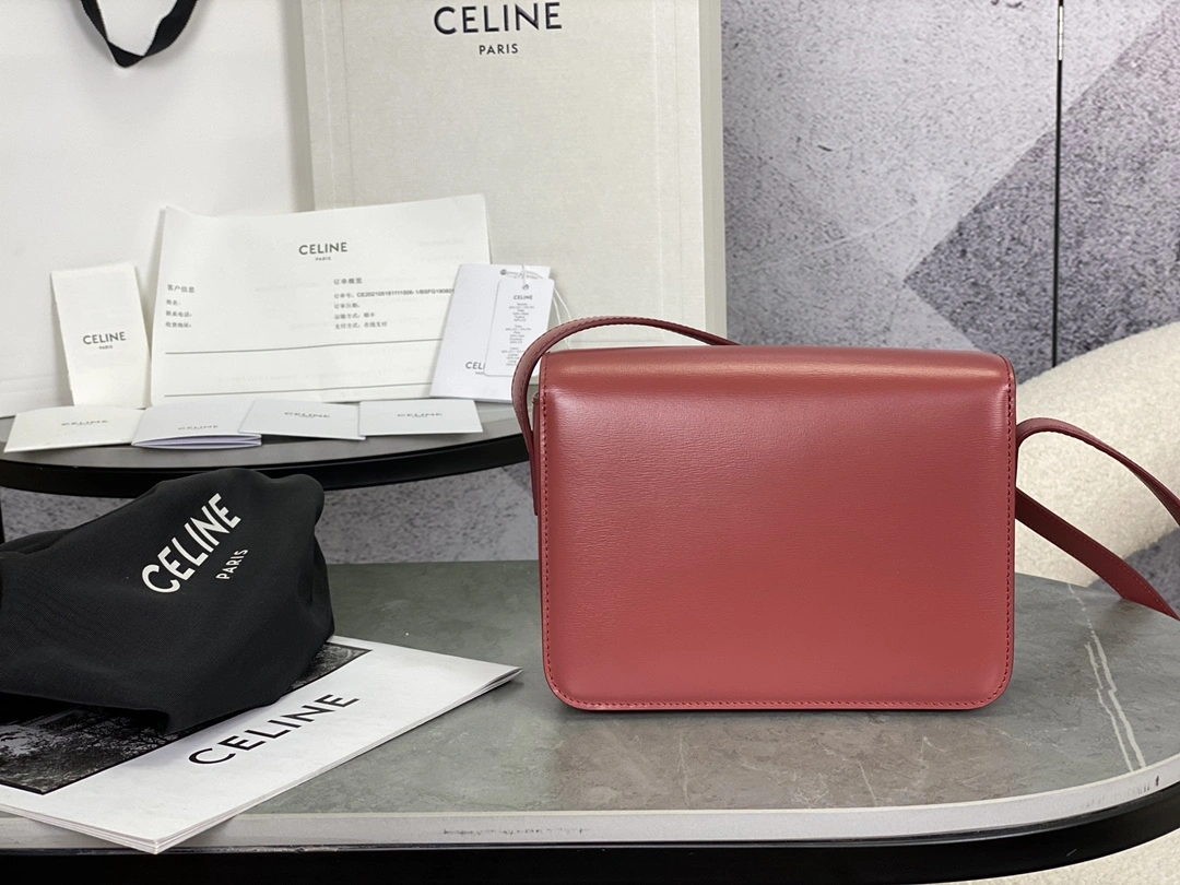 Celine Triomphe Bags TopPick 94541