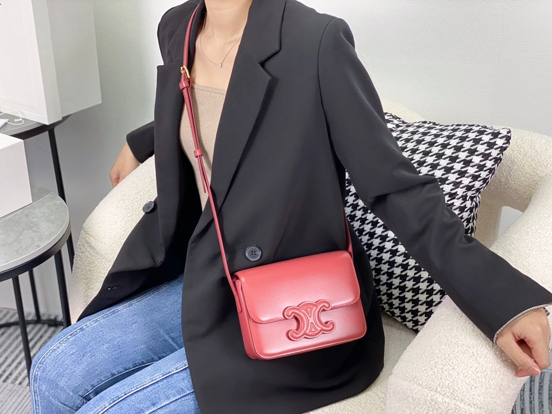 Celine Triomphe Bags TopPick 94541