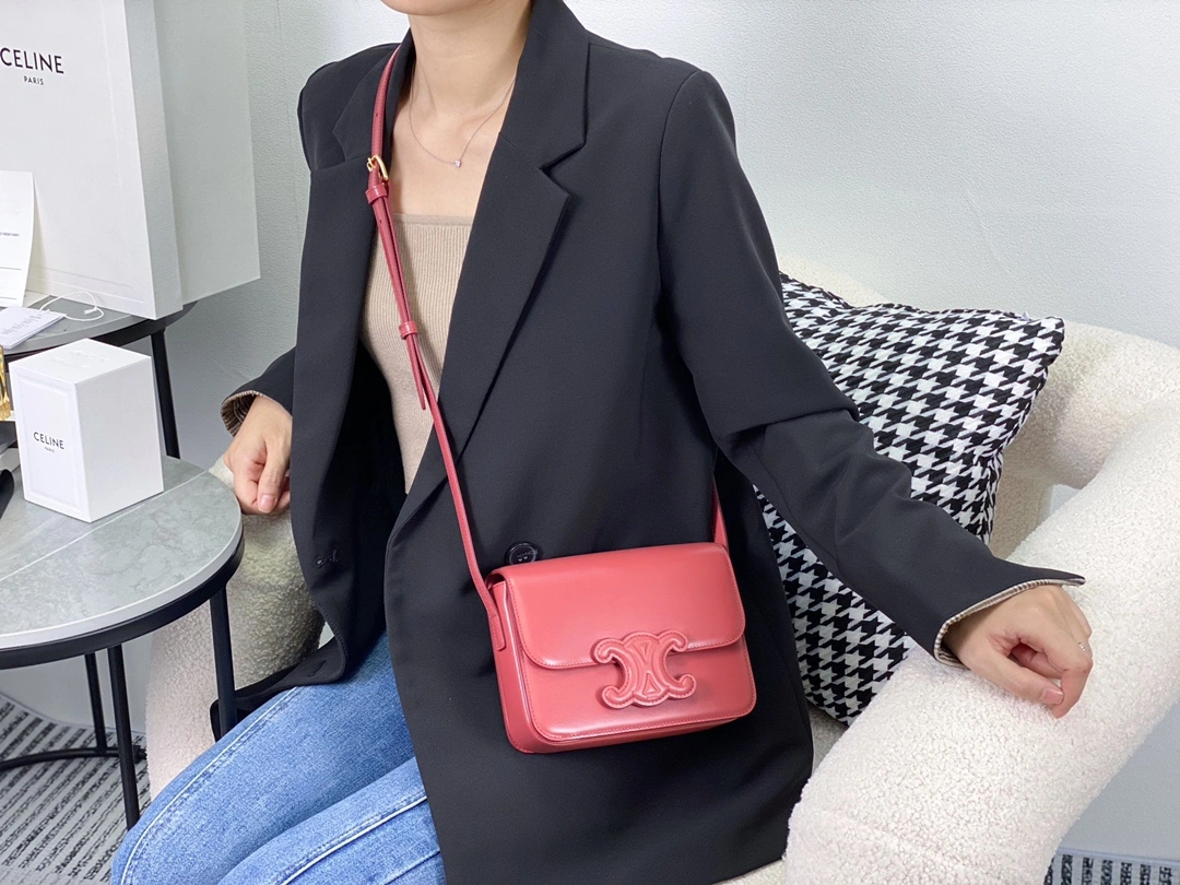 Celine Triomphe Bags TopPick 94541